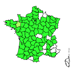 Chorologique de la flore de France Chorologique de la flore de France