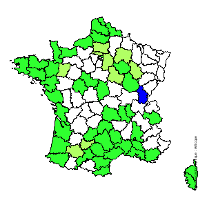 Chorologique de la flore de France Chorologique de la flore de France