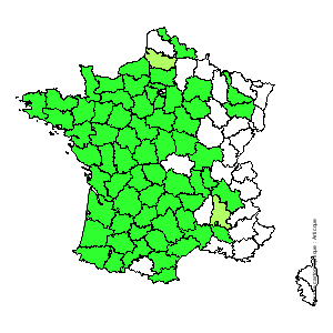 Chorologique de la flore de France Chorologique de la flore de France