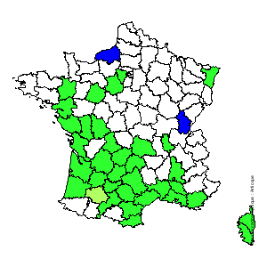 Chorologique de la flore de France Chorologique de la flore de France