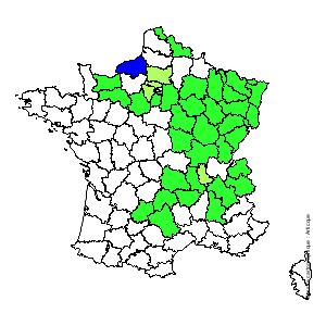 Chorologique de la flore de France