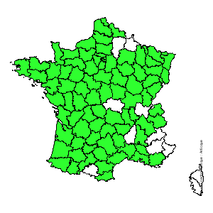Chorologique de la flore de France Chorologique de la flore de France