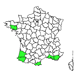 Chorologique de la flore de France Chorologique de la flore de France