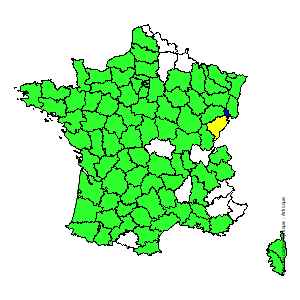 Chorologique de la flore de France Chorologique de la flore de France