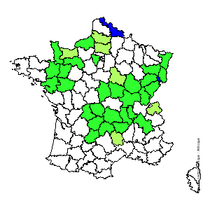 Chorologique de la flore de France Chorologique de la flore de France