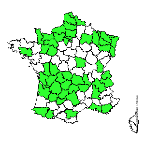 Chorologique de la flore de France
