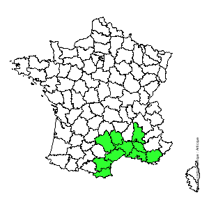 Chorologique de la flore de France Chorologique de la flore de France