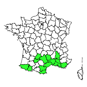 Chorologique de la flore de France