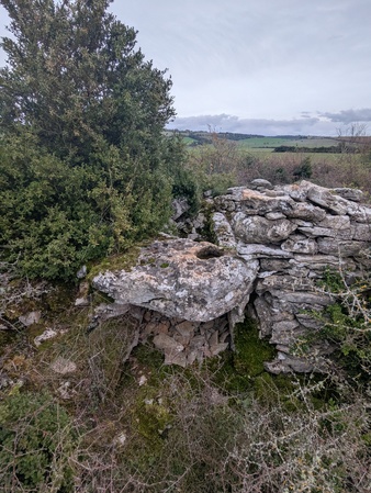 Dolmen de la Plaine