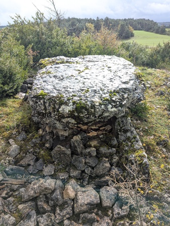 Dolmen de Sermeillets Dolmen de Sermeillets