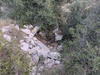 Dolmen de Cassole