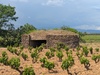 Bunkers antichars