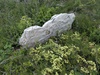 Dolmen de Combecrose (A)