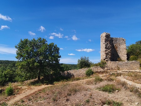 Camp de César Camp de César