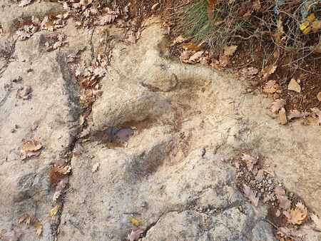 Empreintes de Dinosaures Empreintes de Dinosaures