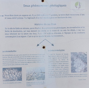 Empreintes de Dinosaures Empreintes de Dinosaures