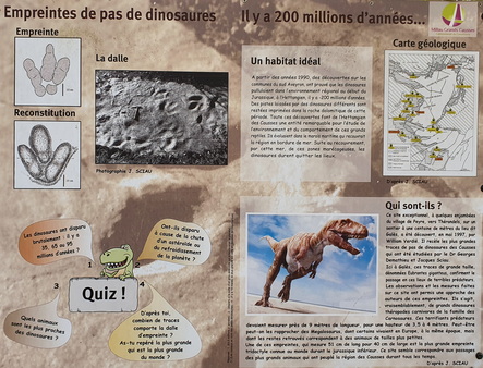Empreintes de Dinosaures Empreintes de Dinosaures