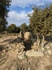 Dolmen de Tires Llargues