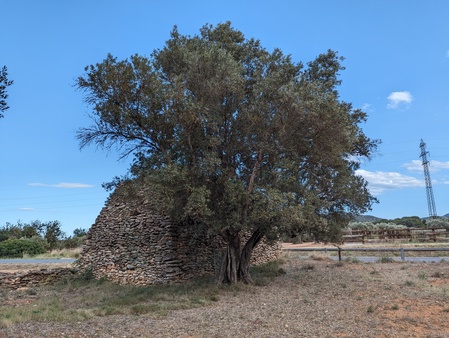 Barraca de l'Amettlé Barraca de l'Amettlé
