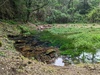 Source du Durzon