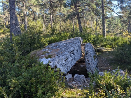 Dolmen de Chardonnet Dolmen de Chardonnet