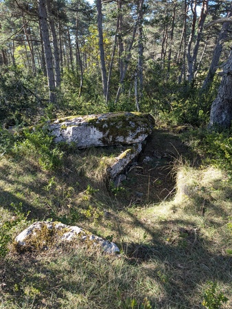 Dolmen de Chardonnet (B) Dolmen de Chardonnet (B)