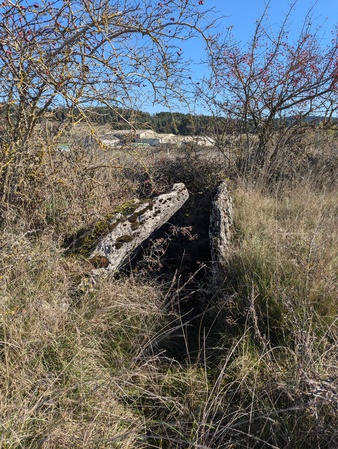 Dolmen des Fons Dolmen des Fons
