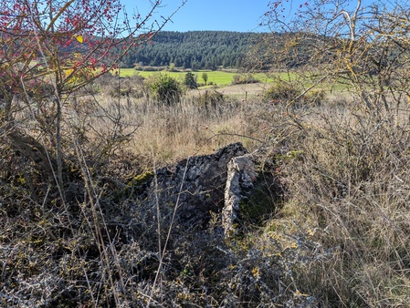 Dolmen des Fons Dolmen des Fons