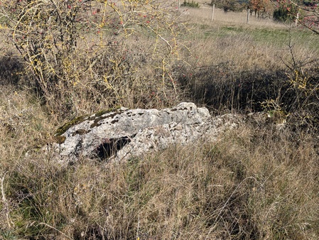 Dolmen des Fons Dolmen des Fons
