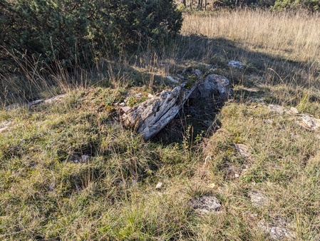 Dolmen de Lou Devezou Dolmen de Lou Devezou