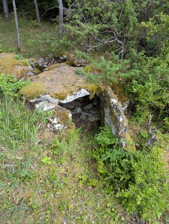 Dolmen du Puech de Cricou