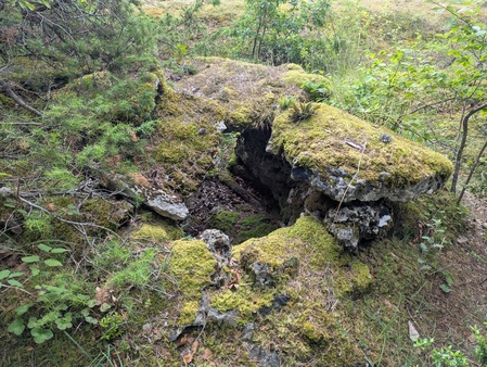 Dolmen du Puech de Cricou